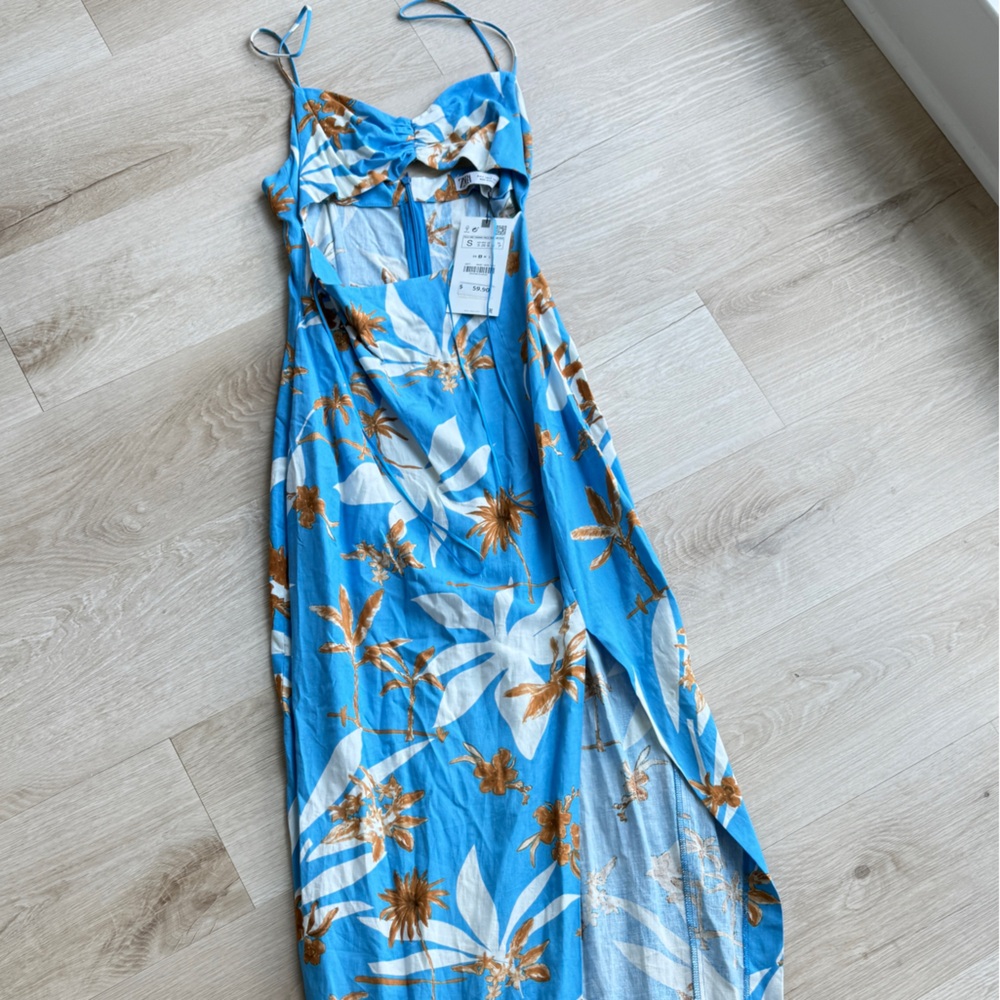 Zara Blue and Brown Floral Maxi Skirt